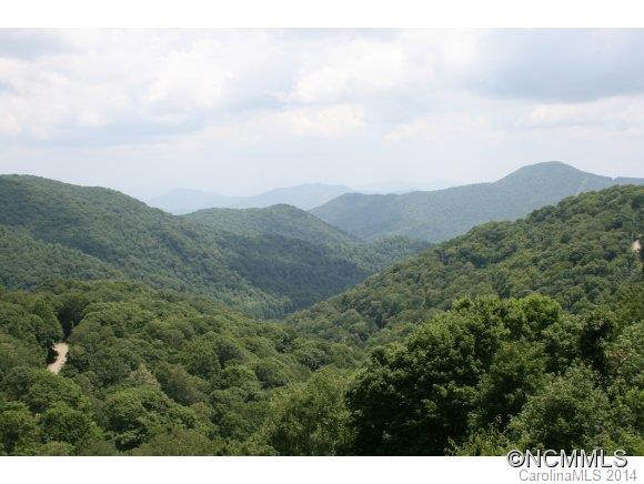 2541 # 208 Wolf Laurel Road #208 - Photo 2