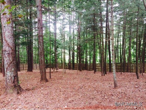 208 Riva Ridge DR - Photo 3