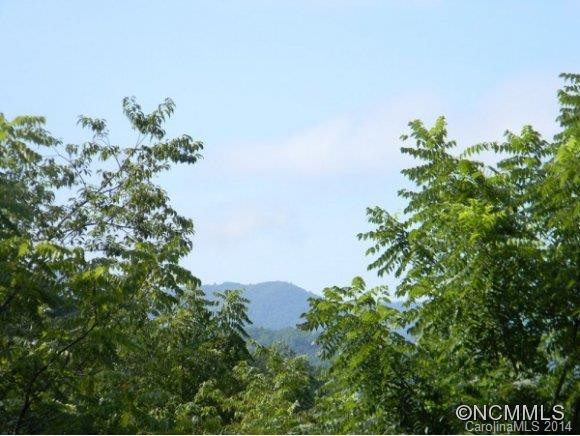 225 BUZZARD ROOST - Photo 10