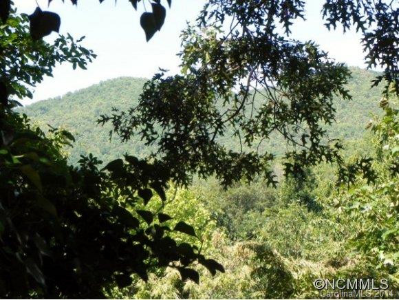95 ROYAL GORGE - Photo 2