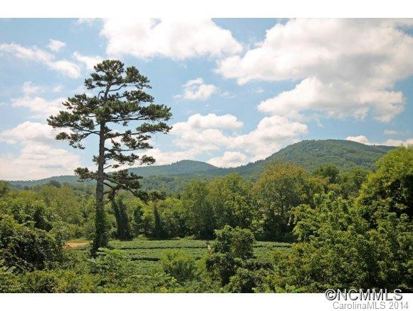 2403 Idle Hour Drive - Photo 2