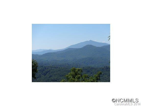 1820 Locust Knob Tower Rd - Photo 2