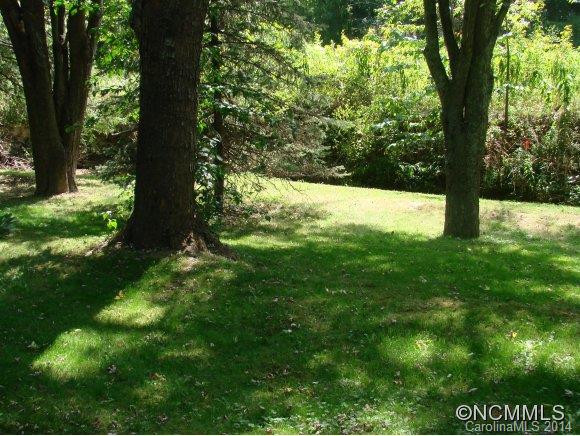 109 Lower Edgewood - Photo 3