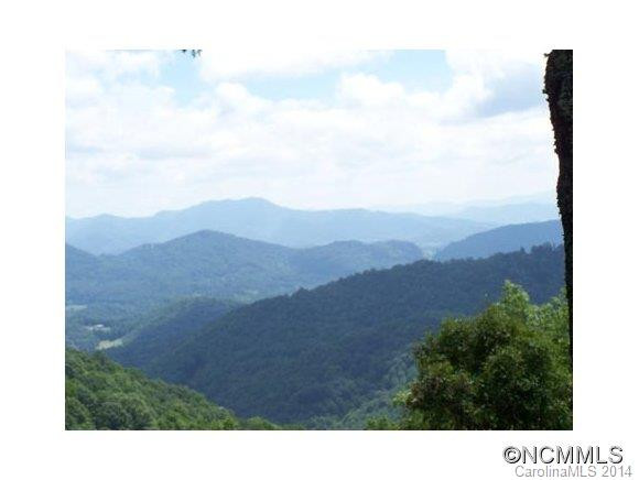 852 Wild Turkey Run Road - Photo 2