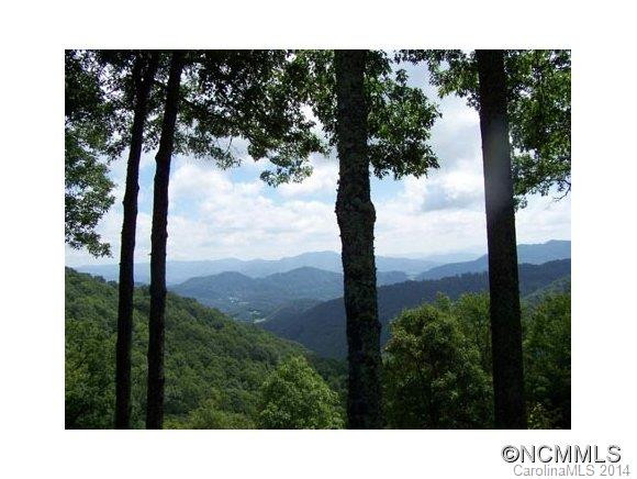 852 Wild Turkey Run Road - Photo 18