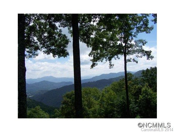 852 Wild Turkey Run Road - Photo 7