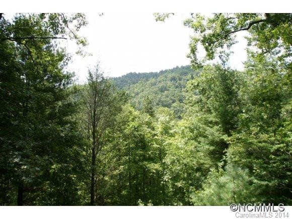 31 Spring Acres Lane - Photo 3