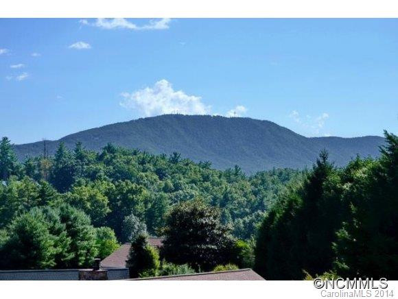 18 Thornapple - Photo 14