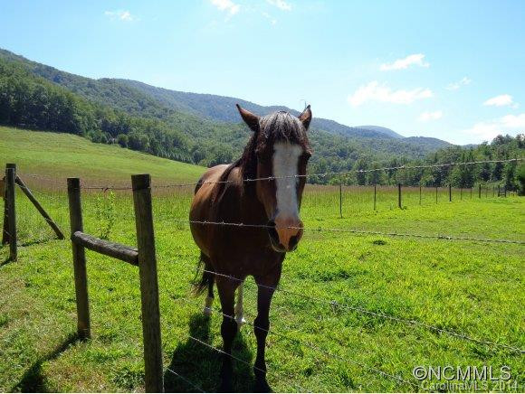 301 Blue Rock Road - Photo 23
