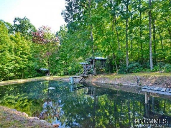 539 RHODODENDRON PARK RD. - Photo 19