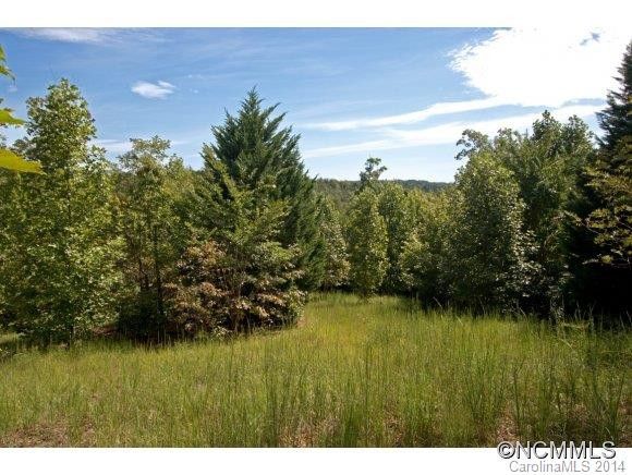 494 Laurel Lakes Parkway - Photo 23