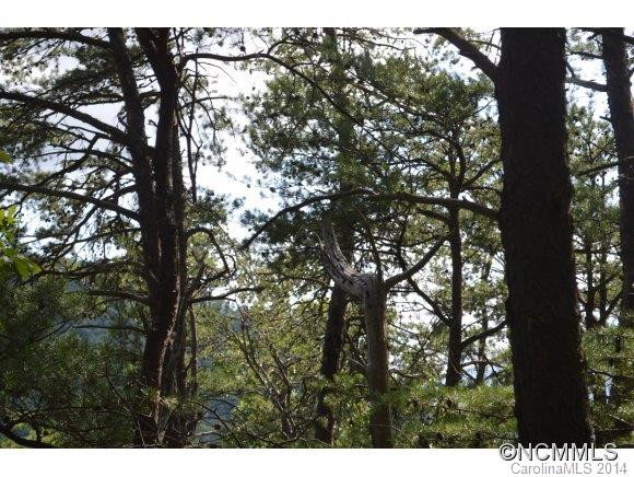 19 Berry Lane - Photo 20