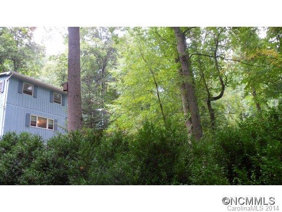 435 Three Quarter Creek Road - Photo 2