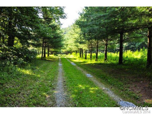 000 NC Hwy 208 - Photo 23