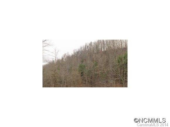 6781 Big Laurel Road - Photo 21