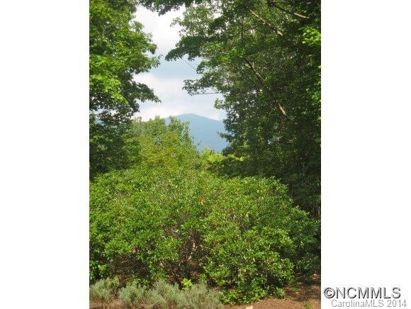 360 Mountain Laurel Dr. - Photo 10