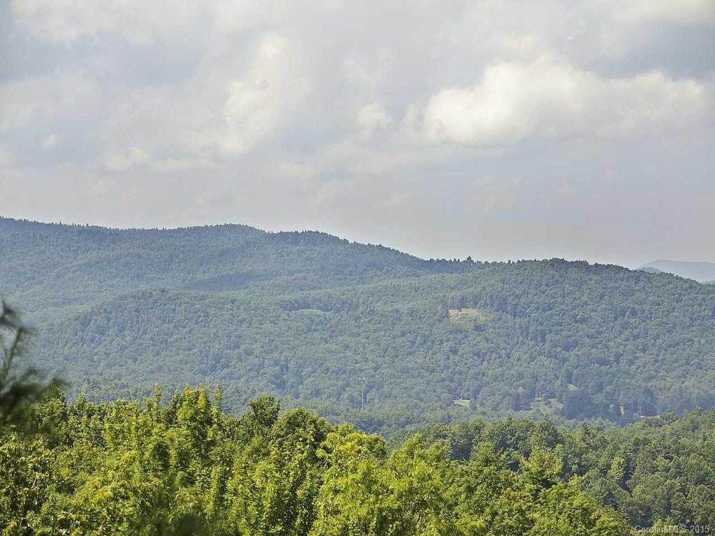 110 CATAWBA PATH - Photo 17