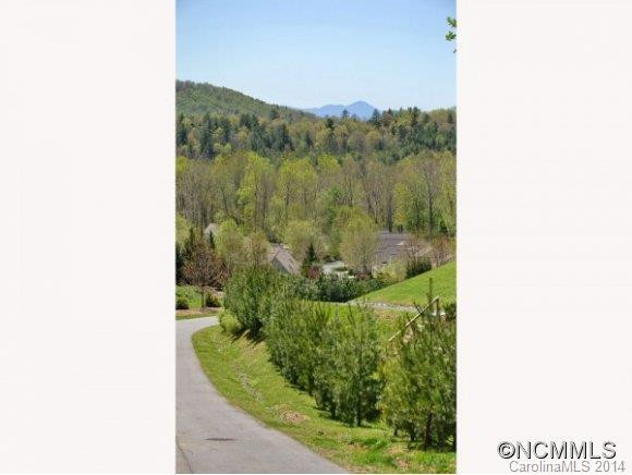 23 BEE TREE VILLAGE PKWY - Photo 15