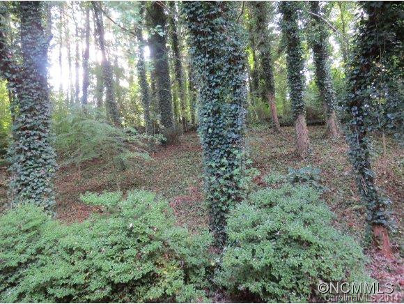 34 Evergreen - Photo 23