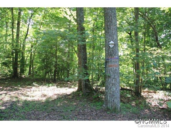 1460 Laurel Mountain View Rd - Photo 11