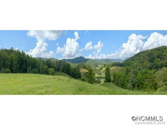 3005 Walnut Creek Road - Photo 2