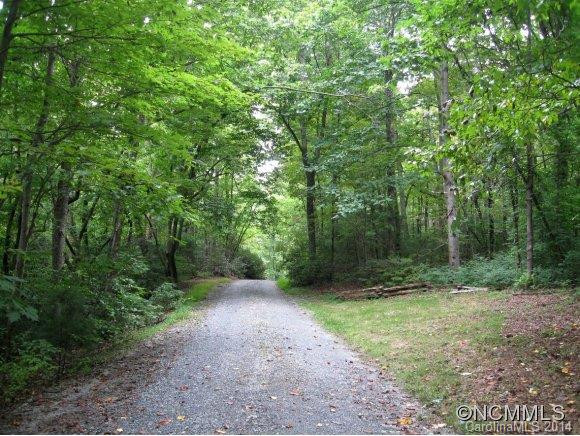992 Mountain Page Road - Photo 3