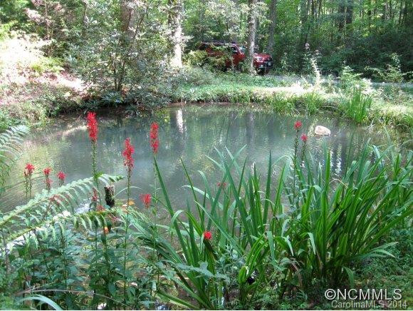 992 Mountain Page Road - Photo 24
