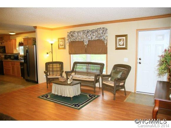 117 S. Mills River Road - Photo 2