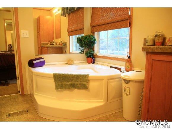 117 S. Mills River Road - Photo 11
