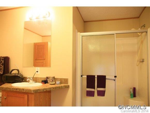 117 S. Mills River Road - Photo 12