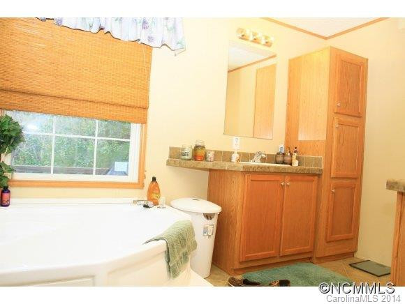 117 S. Mills River Road - Photo 13