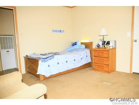 117 S. Mills River Road - Photo 14