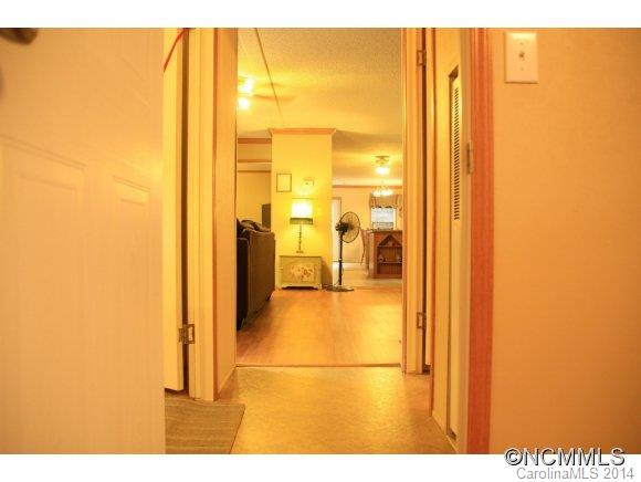 117 S. Mills River Road - Photo 19