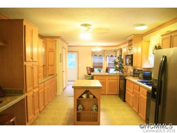 117 S. Mills River Road - Photo 3