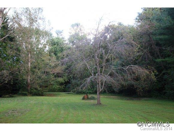 117 S. Mills River Road - Photo 22