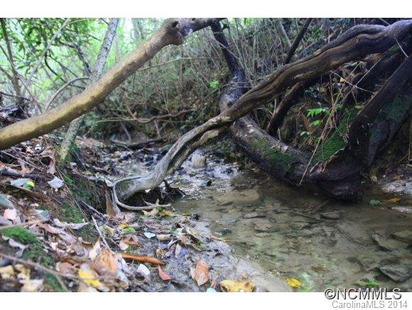 117 S. Mills River Road - Photo 24