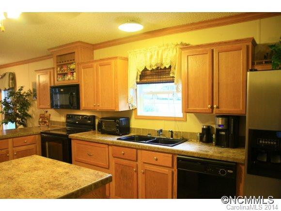 117 S. Mills River Road - Photo 4