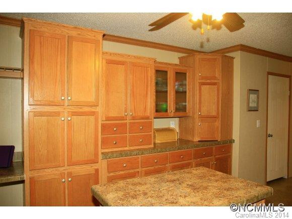 117 S. Mills River Road - Photo 5