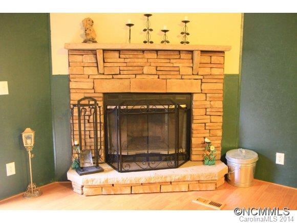 117 S. Mills River Road - Photo 8