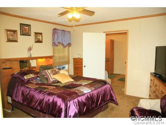 117 S. Mills River Road - Photo 9