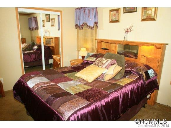 117 S. Mills River Road - Photo 10
