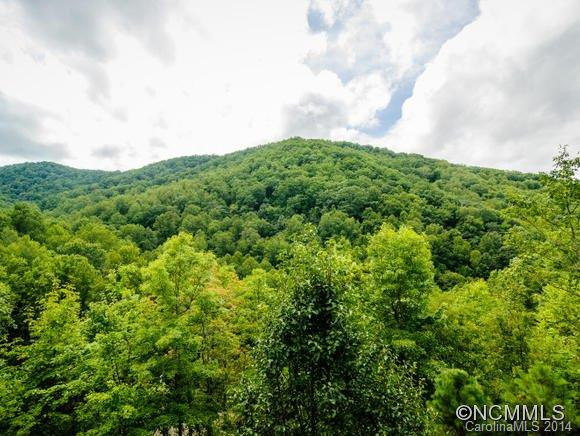151 Saw Branch Road - Photo 5