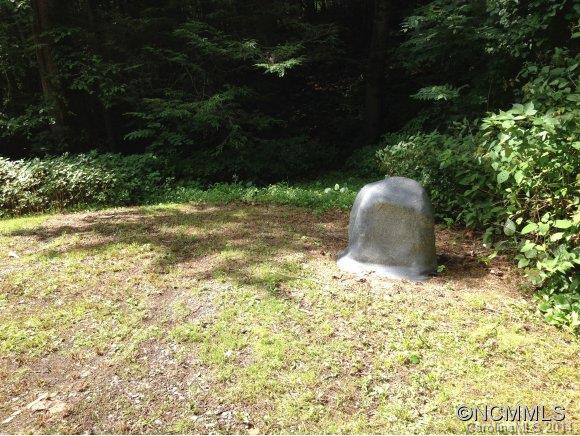 541&543 Paint Fork Road - Photo 21