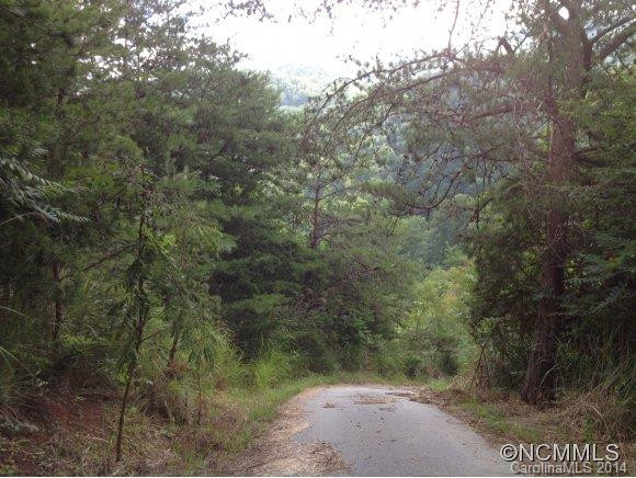 541&543 Paint Fork Road - Photo 22