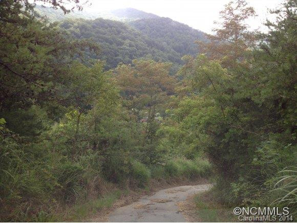541&543 Paint Fork Road - Photo 24