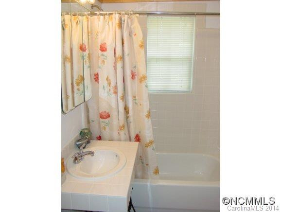 541&543 Paint Fork Road - Photo 5