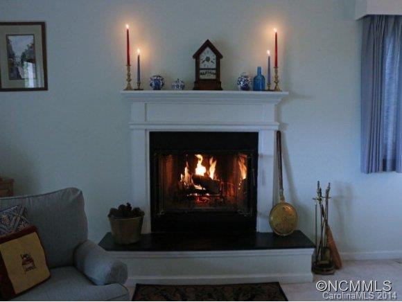 305 PINEY MOUNTAIN DR, C-2 - Photo 3