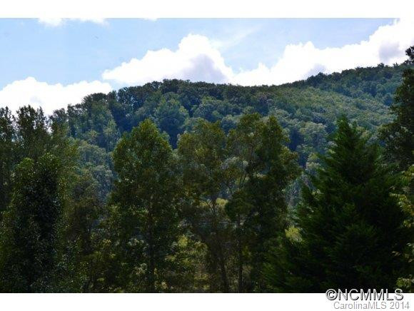 115 Crooked Creek Estates - Photo 3