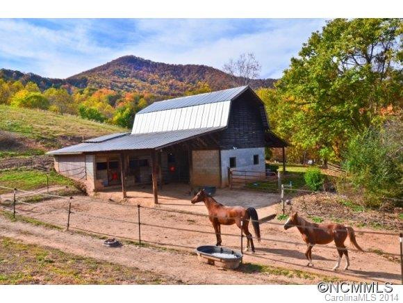 11 Bay Horse - Photo 16