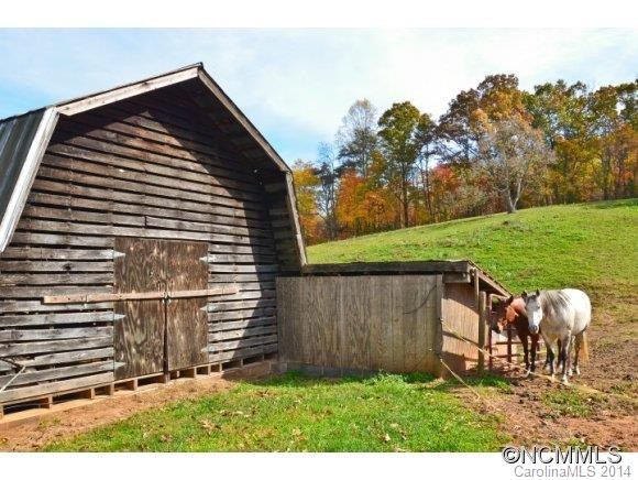 11 Bay Horse - Photo 17